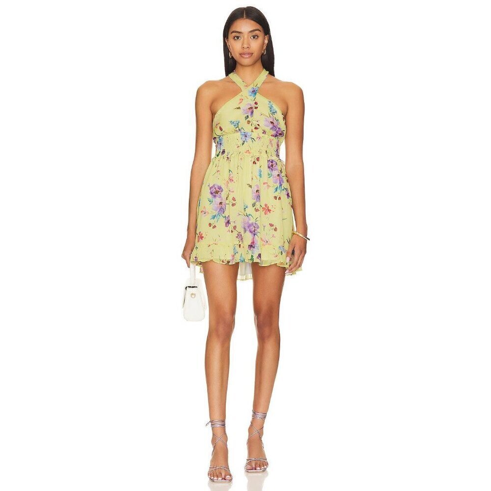 Rays for Days Louise Chiffon Mini Dress Love Bird Floral Womens Size Small